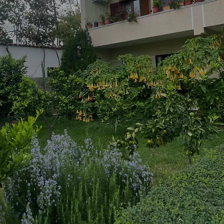 Cozy Close To The Airport Kwatera prywatna Kamez