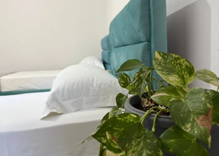 Cozy Close To The Airport Kamez